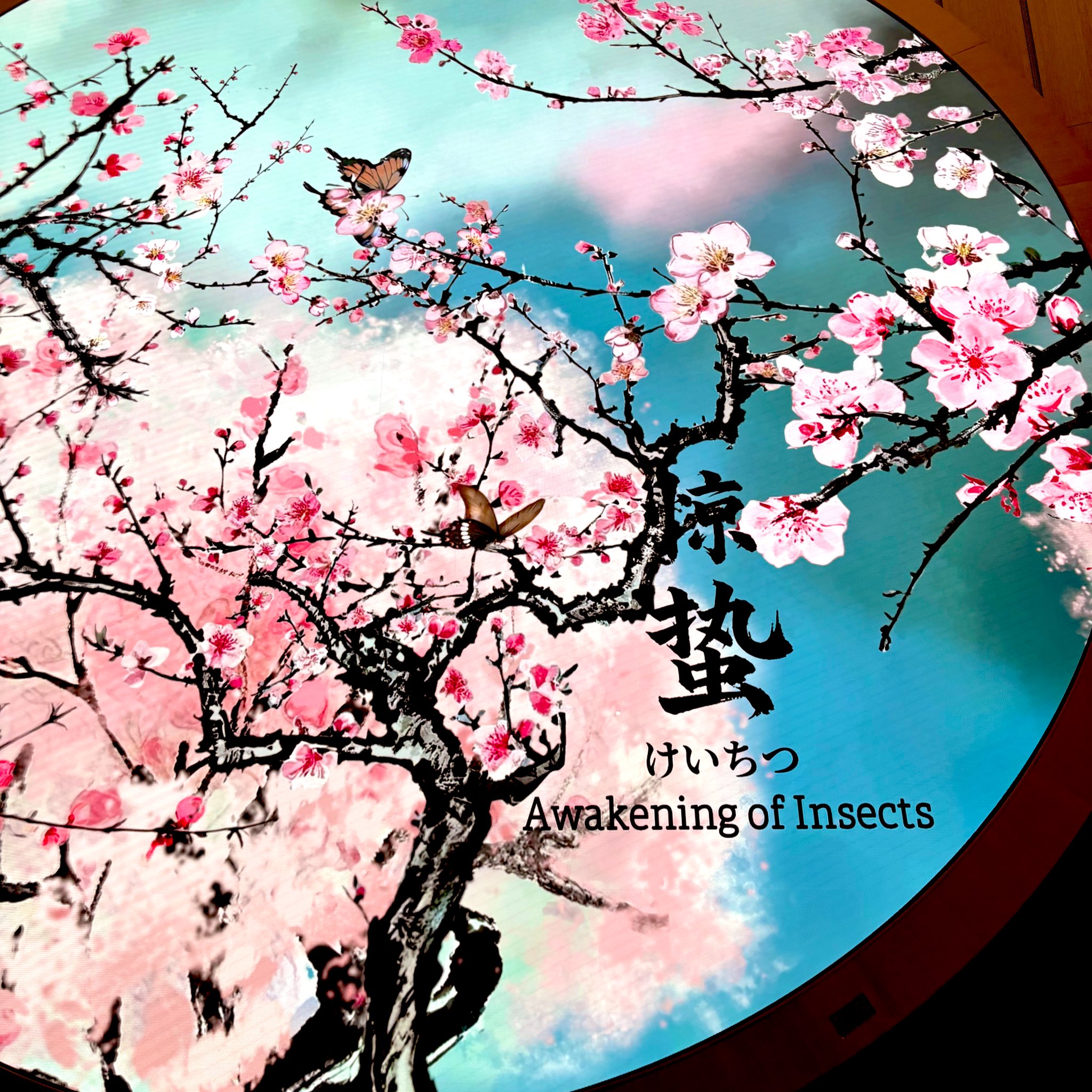 【激レア】mol-74 ルリタテハ 激レア】mol-74 ルリタテハ