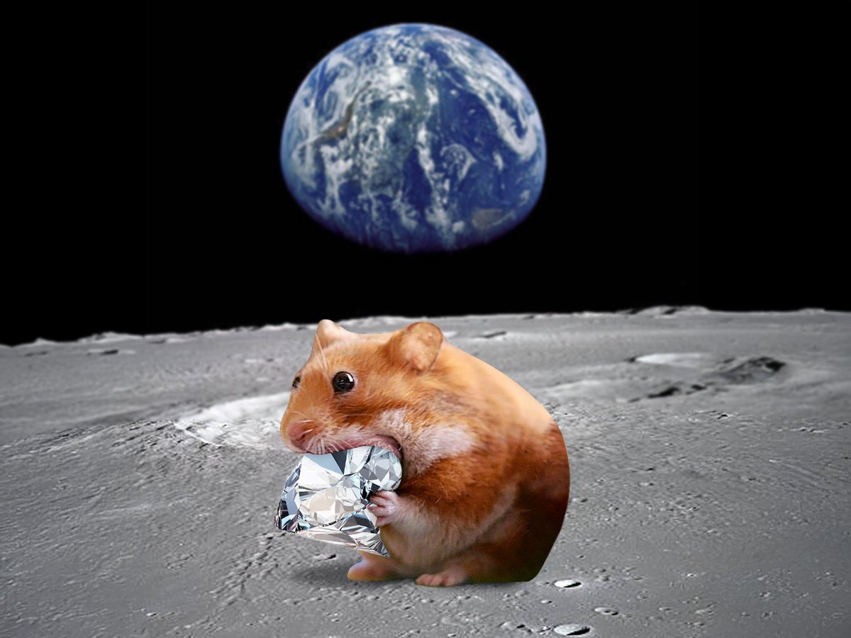 Crypto___punk's tweet image. $nomnom