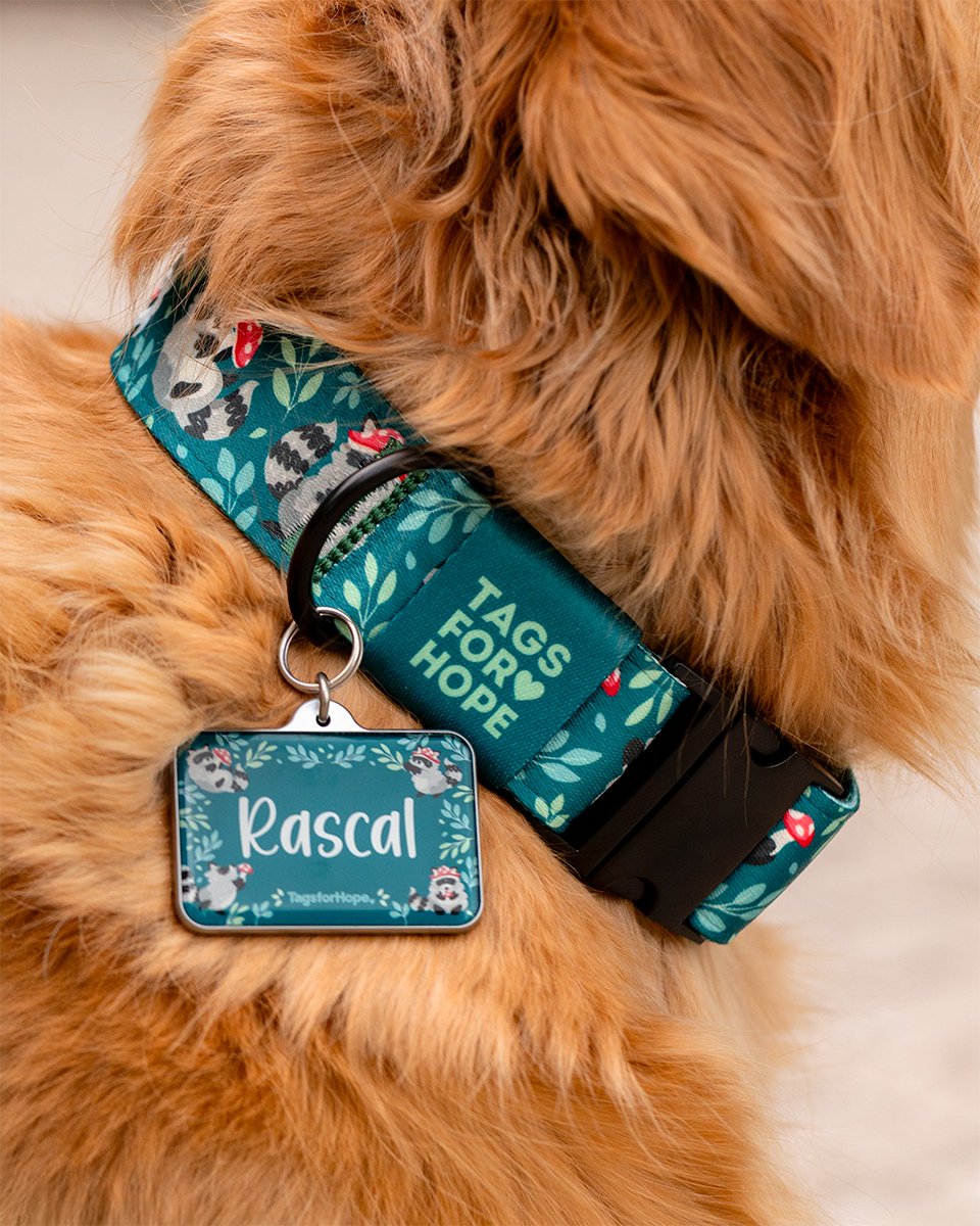 TagsforHope's tweet photo. Trouble? Never heard of her.⁠
Raccoon Mischief is made for the pups who definitely didn’t just knock over the trash. 🦝🐾⁠
⁠
Sale ends this Sunday, June 22—don’t miss out!
https://t.co/YwZNs6YBul https://t.co/hJlfCKxg1A