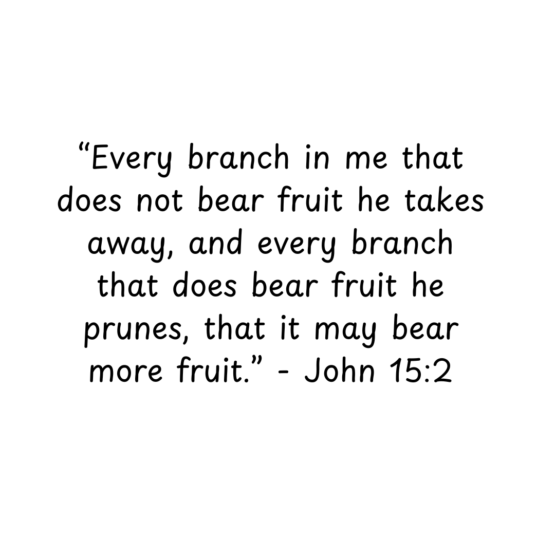 TheKineticMan's tweet photo. A question in today's journal entry: it may hurt, but what fruit in me needs to be pruned? https://t.co/TkmoVye2tE