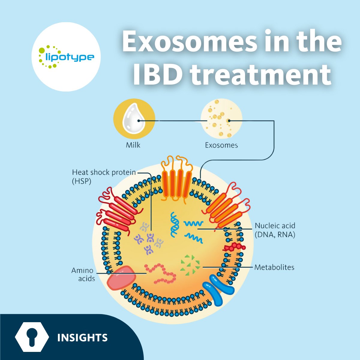 Lipotype (@lipotype_global) on Twitter photo From a #lipidomics perspective, milk-derived #exosomes demonstrate exceptional stability in the GI tract due to their unique lipid composition.
Read our fresh article here:
lipotype.com/lipidomics-app…
#IBD #lipotype #MilkDerivedExosomes #MassSpectrometry From a #lipidomics perspective, milk-derived #exosomes demonstrate exceptional stability in the GI tract due to their unique lipid composition.
Read our fresh article here:
lipotype.com/lipidomics-app…
#IBD #lipotype #MilkDerivedExosomes #MassSpectrometry