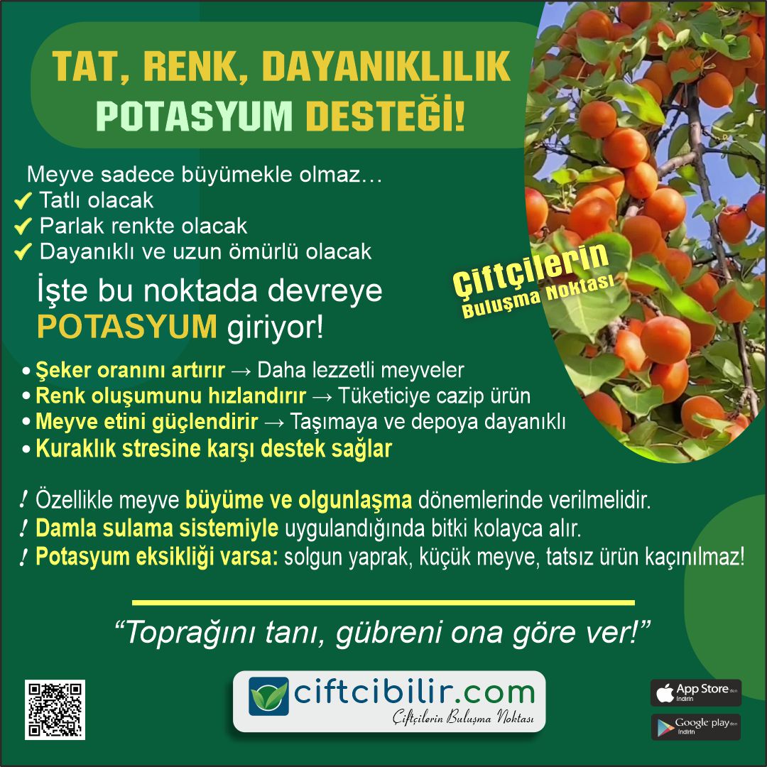 Daha fazla bilgiye sitemizin Tarım Kütüphanesi bölümünden ulaşabilirsiniz.
İlanlarınızı sitemizde ücretsiz yayınlayabilirsiniz...
ciftcibilir.com