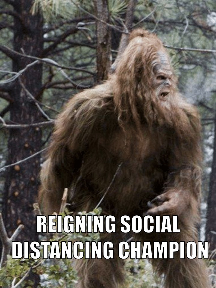 Despite numerous alleged sightings and reports, the existence of Bigfoot remains unproven. 🌲👣 Join us as we delve into the mysteries of this creature on our latest episode! #Bigfoot #mystery #cryptid #podcast

open.spotify.com/show/21Lq5LZc4…