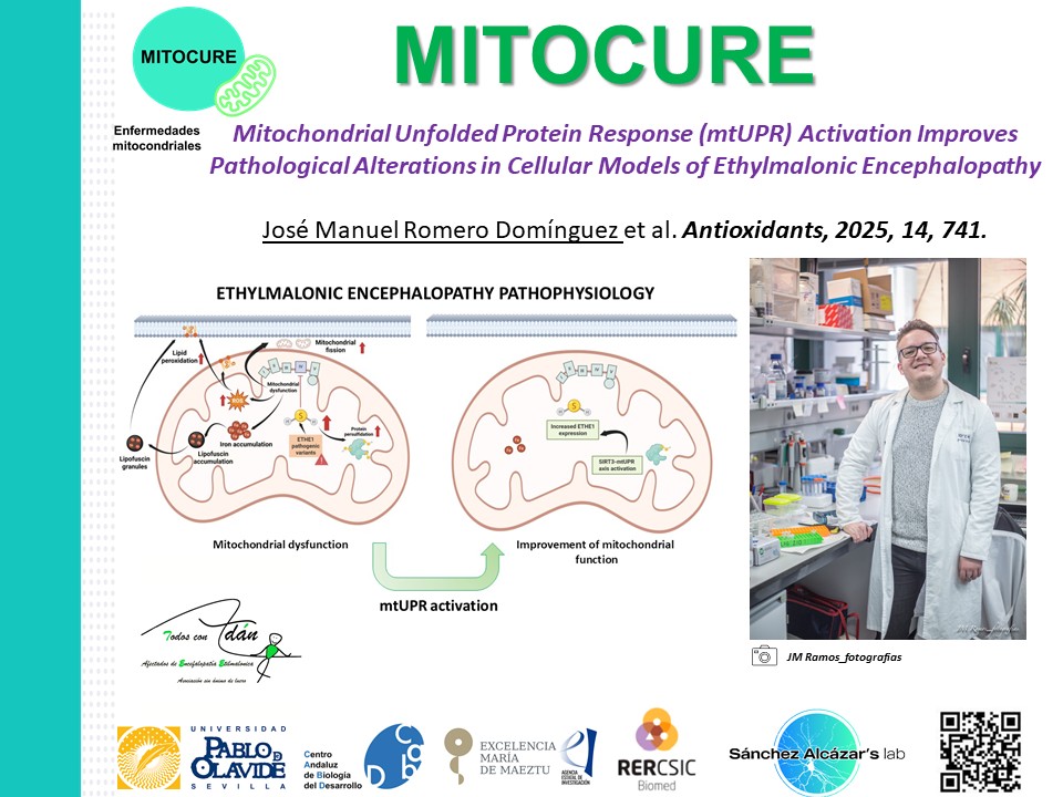 JOSE ANTONIO SANCHEZ (@alcazar156) on Twitter photo 