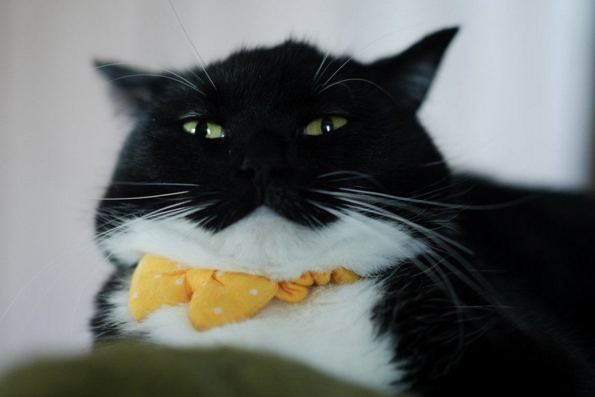 At times, he transforms into Jabba the Hutt