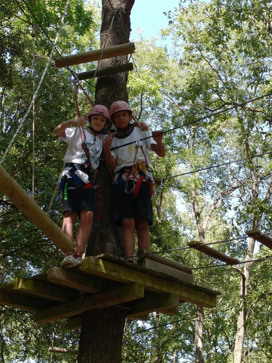 Colegio Adoratrices Logroño tweet media