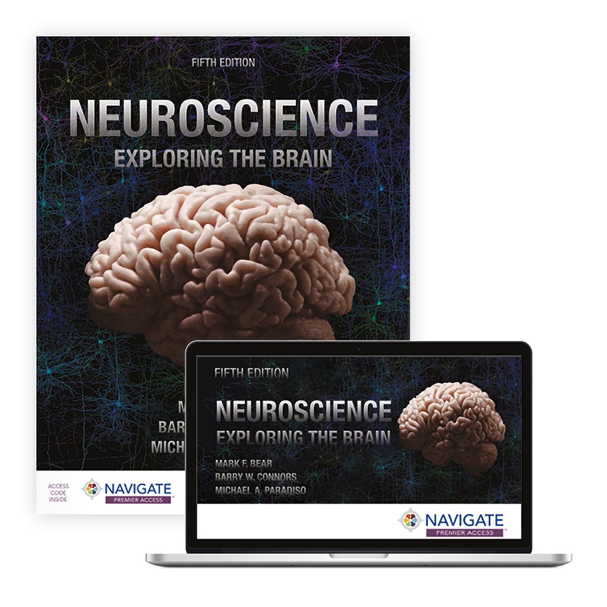 MIT_Picower's tweet image. “We strive to present the hard science without making the science hard." Looking back and ahead as a leading #neuroscience textbook reaches 30 years and a fifth edition. picower.mit.edu/news/textbooks… @mitbrainandcog @ScienceMIT