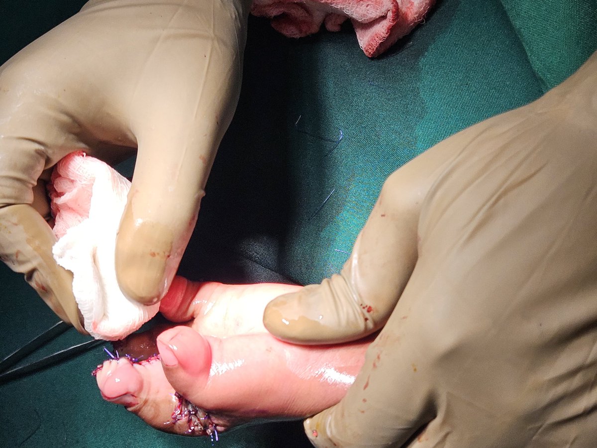 Dra. Karina Rando tweet media