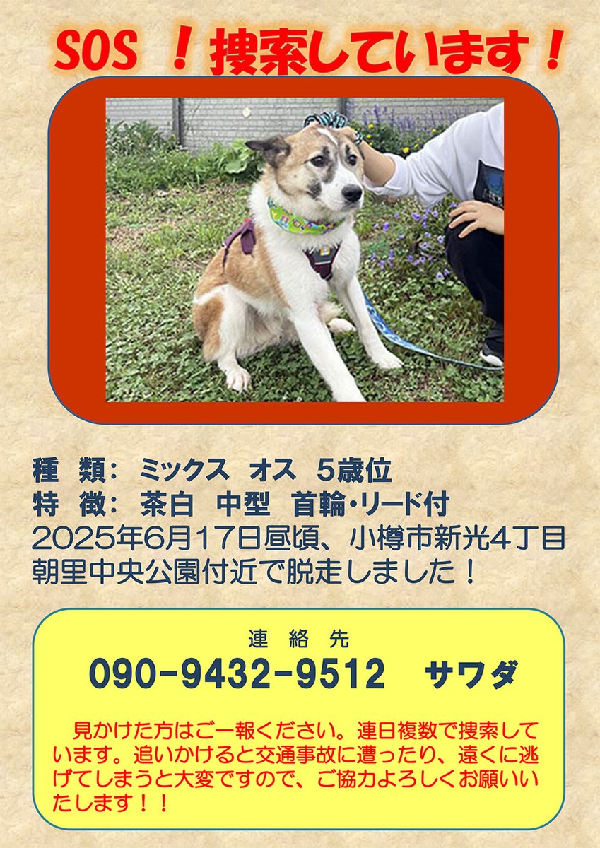 shipponokai's tweet photo. ご心配いただいている皆さまへ
温かいお気持ちをありがとうございます。本日、鳴き声を確認しました！スタッフが全力で捜索中です。
お願いです：見かけても追いかけたり声をかけたりせず、「いつ・どこで見たか」をお知らせいただけると助かります。引き続きよろしくお願いいたします！
＃犬捜索中 https://t.co/6GUVYmdE17