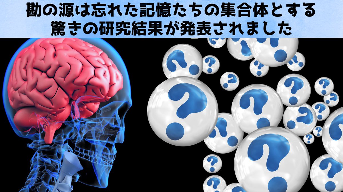 NazologyInfo's tweet image. 忘れられた記憶はあなたの選択に「勘」という形で影響を与え続ける
nazology.kusuguru.co.jp/archives/179840
勘だけで生きている人に朗報です。
スイスのベルン大は忘れた記憶の集合体が無意識的な勘となって私たちを助けていると発表。研究では勘の正解率が上がる現象を脳科学的に突き止めることに成功しています。