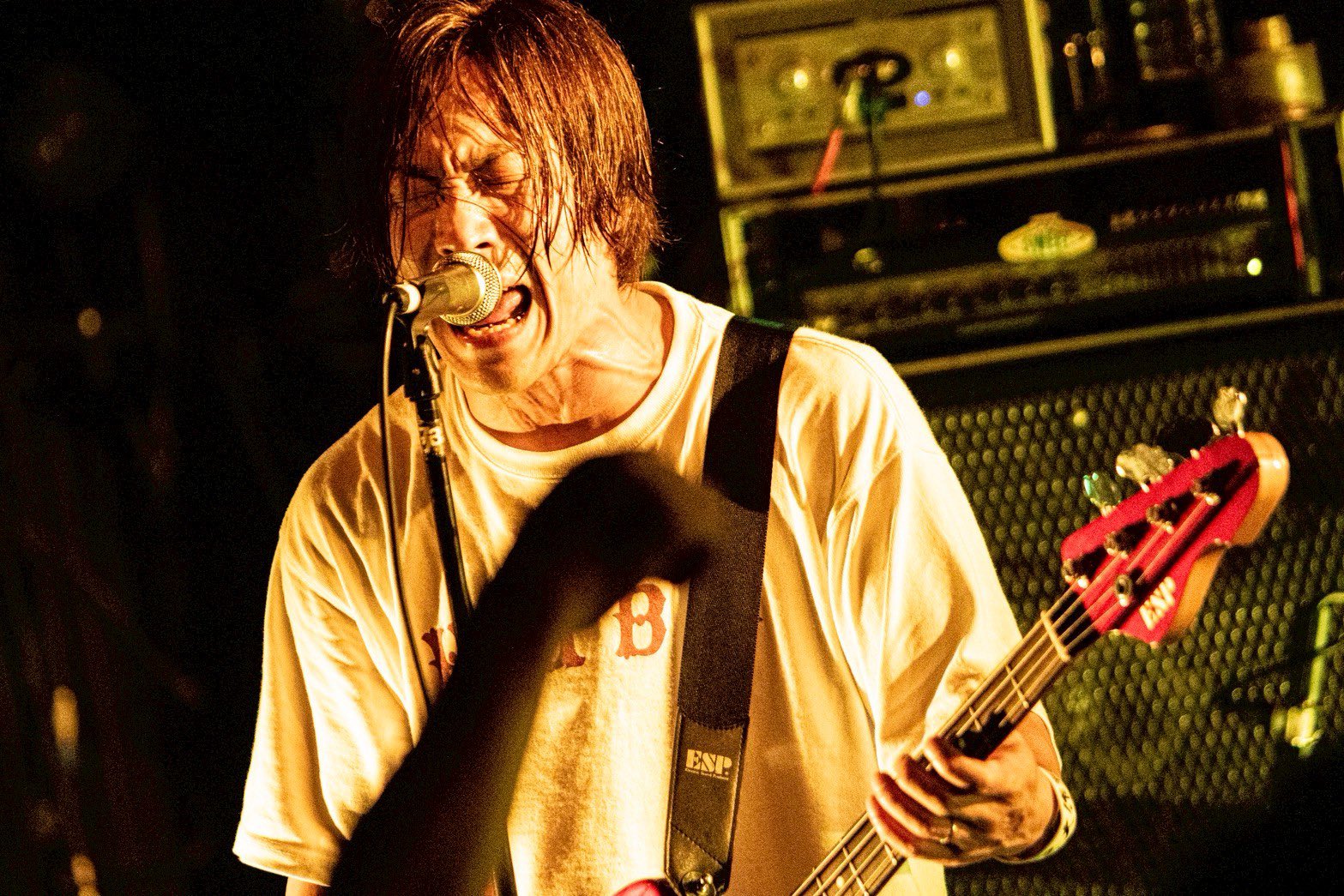 locofrank - Search / X