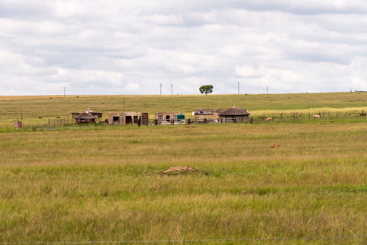 YaleEGC's tweet image. 🆕 Podcast: What does the future hold for small farms in Africa? Our latest #DevelopmentDialogue w/ @Vox_Dev
Guests @g_mukeshimana (@IFAD), @chrisudry (@NUEconomics @NU_GPRL) & Mark Rosenzweig (@YaleEconomics) discuss.
🎧 Listen to the episode:
egc.yale.edu/news/250618/de…