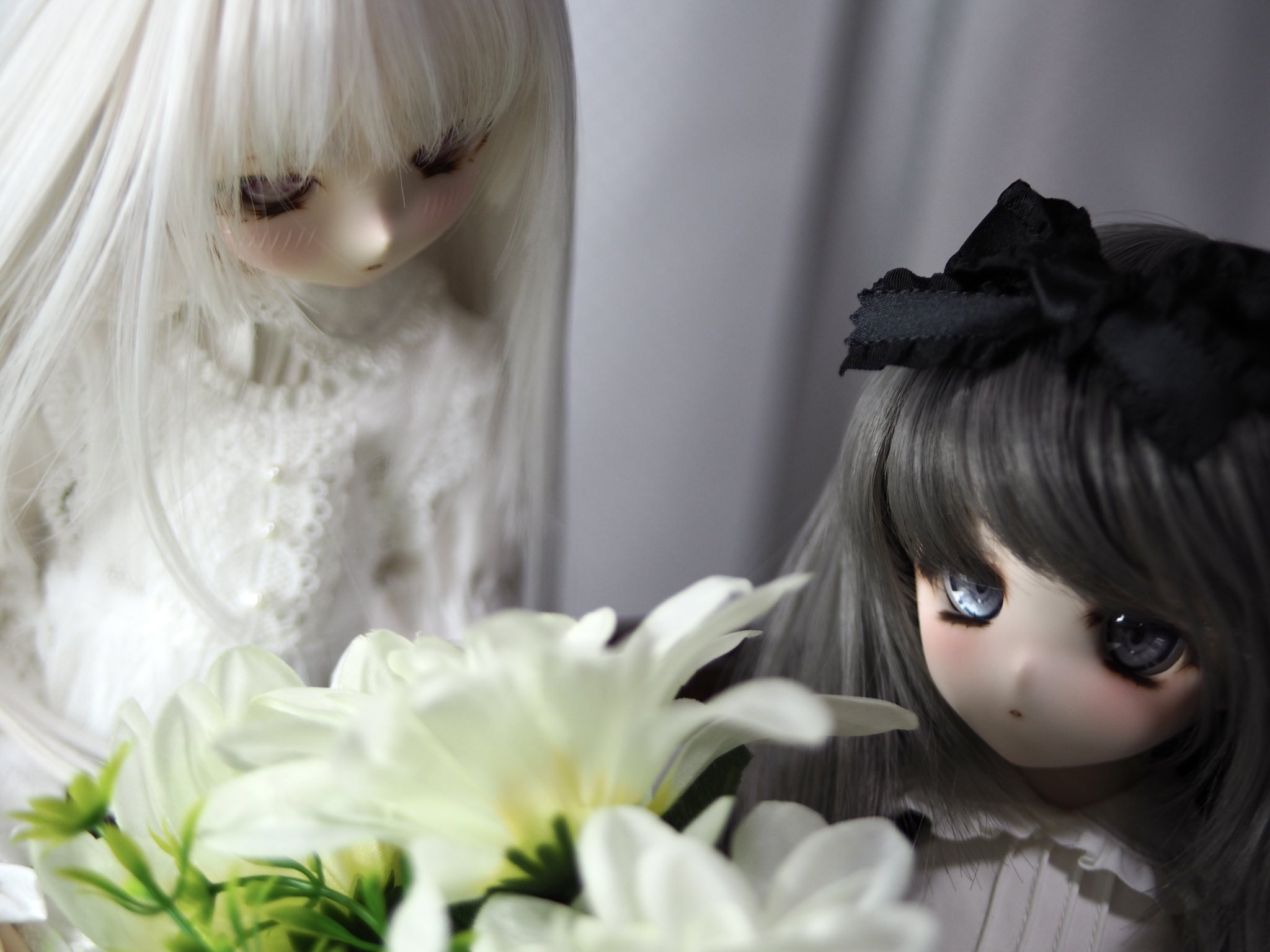 わにわ (@wani_waniwa) / X