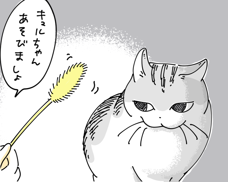 今週の金曜日の漫画はお休みします🐈
