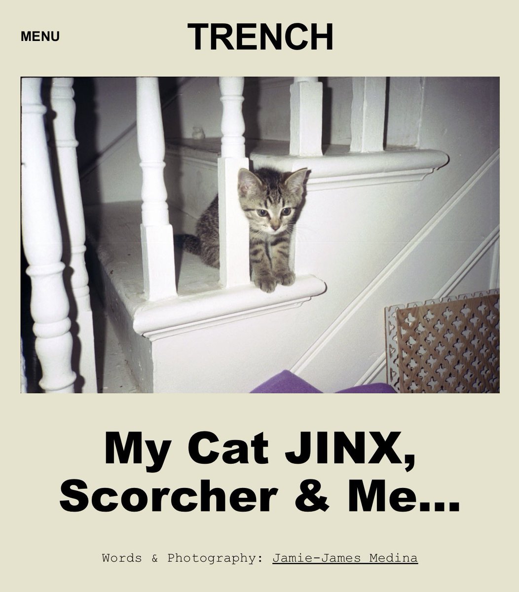My Cat JINX, Scorcher &amp; Me…

The untold story of how <a href="/ScorchersLife/">SCORCHER</a>’s family cat impacted the life of a grime photographer—forever! 🥹

🔗 bit.ly/45uIQTB
