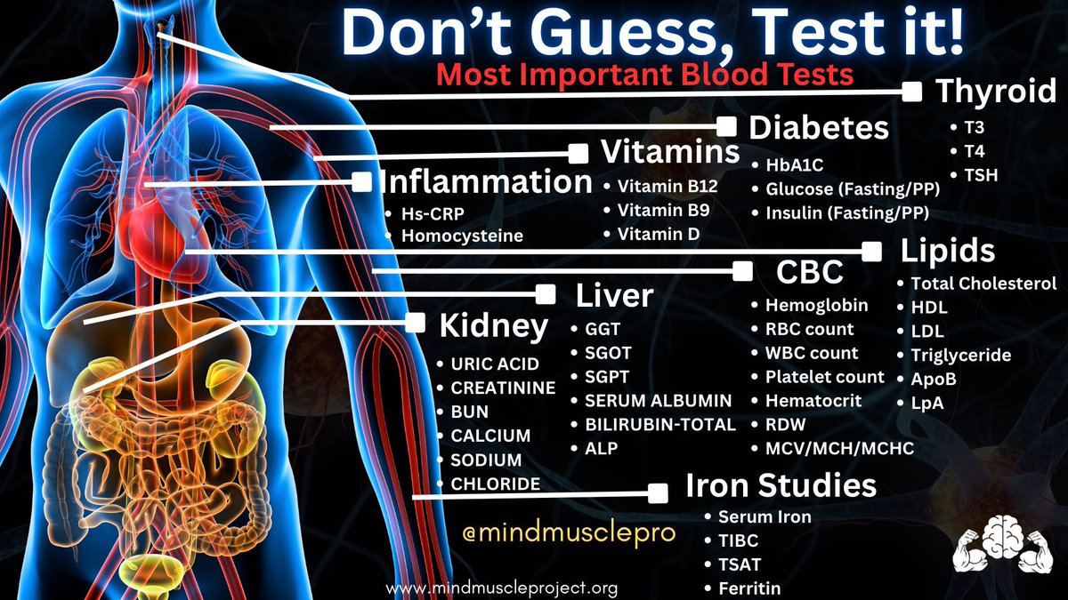 Your Basic Blood Work Checklist for Preventive Health

Diabetes screening

- HbA1C 
- Fasting Glucose
- Fasting Insulin
- PP Glucose
- PP Insulin

Complete Blood Count

- Hemoglobin
- RBC count
- WBC count
- Platelet count
- Hematocrit
- RDW
- MCV
- MCH
- MCHC

Lipid Profile

-