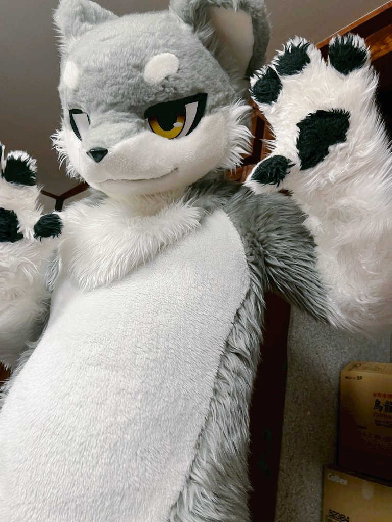 深夜にもちもちした
はいいろーがいたらしい
僕もモフりたかった🐾
#ケモさわぎ4