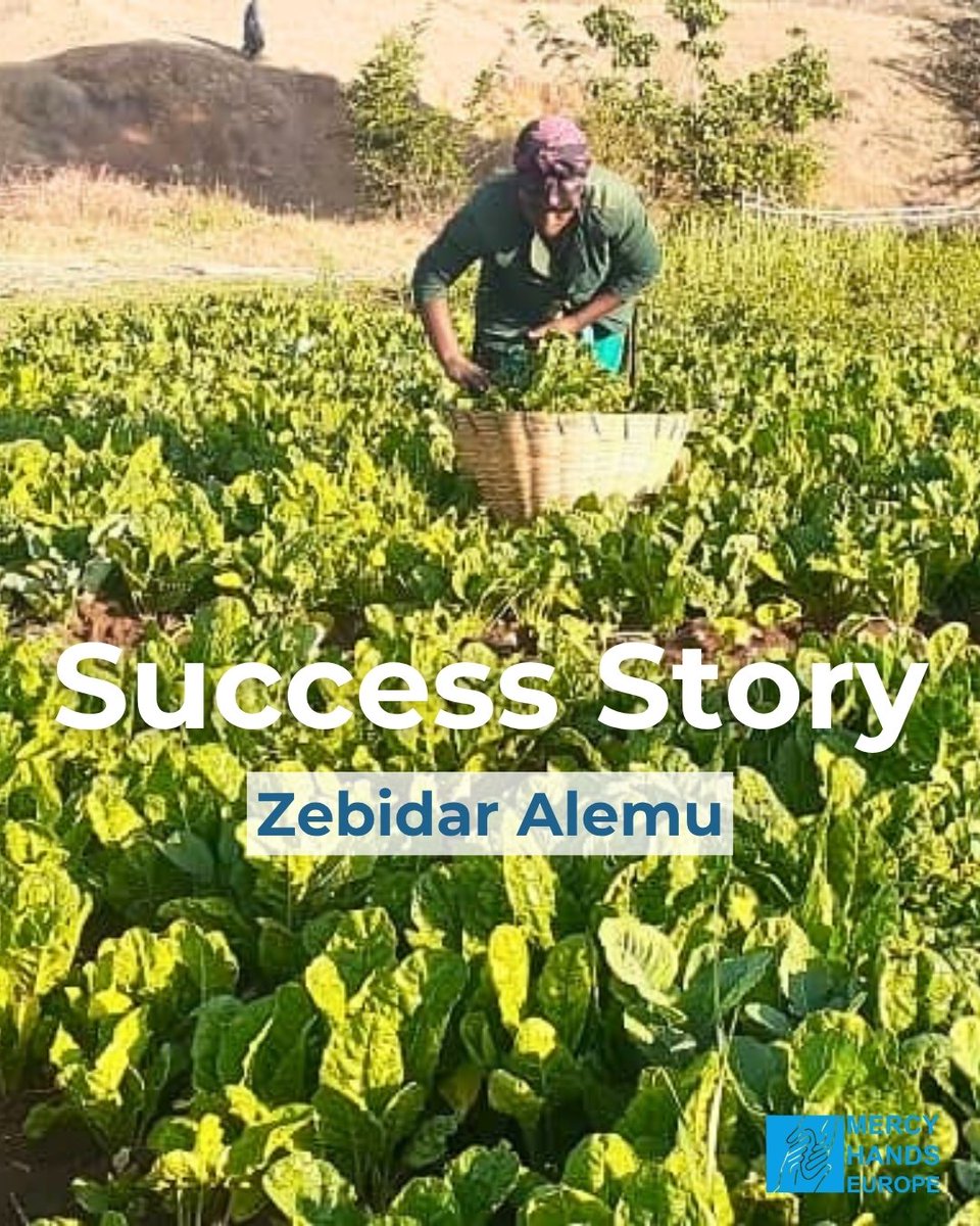 MercyHandsEU's tweet image. 💚 At 24, Zebidar was working as a daily laborer just to survive.
Then she joined #WAPProject.
Received seeds + training
Made 110,200 birr in profit
Saved 95,000 birr
Now planning her own mini market
One season changed her life.
Imagine what your support can do.
#HopeInAction