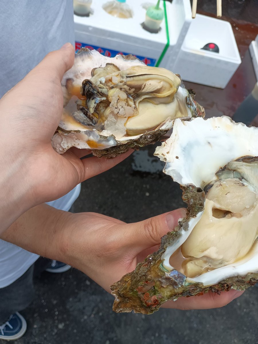 姐御達と海行って海鮮食ってきた