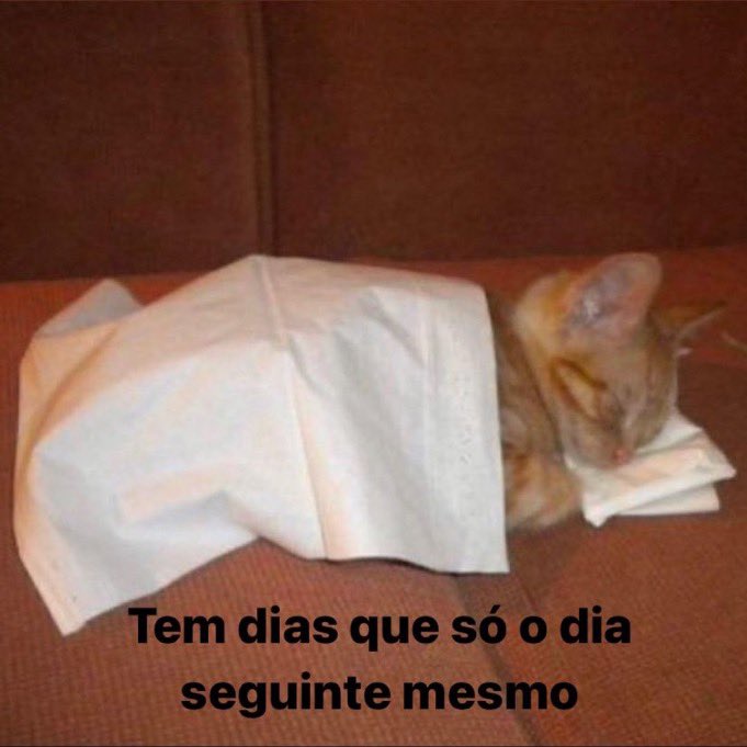 ✩ tweet media