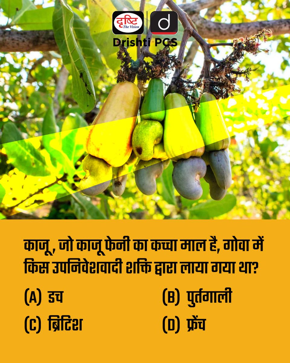 DrishtiPCS's tweet image. गोवा की शान — काजू फेनी, जिसे ओज़ो फेनी भी कहा जाता है — को अब भौगोलिक संकेत (GI टैग) मिल गया है, जिससे यह एक प्रामाणिक पेय के रूप में पहचाना गया है।

CurrentAffairs2025 #GoaFeni #GITag #Feni #TraditionalDrink #IndianHeritage #CurrentAffairs #GKUpdate #DrishtiPCS