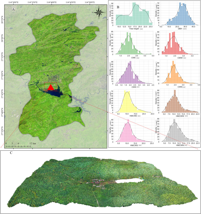 We developed a canopy spatial relationship-based method to construct forest spatial structure units and used ensemble learning to model maximum crown width height (HMCW) of Chinese fir. 
Details: doi.org/10.1016/j.plap…