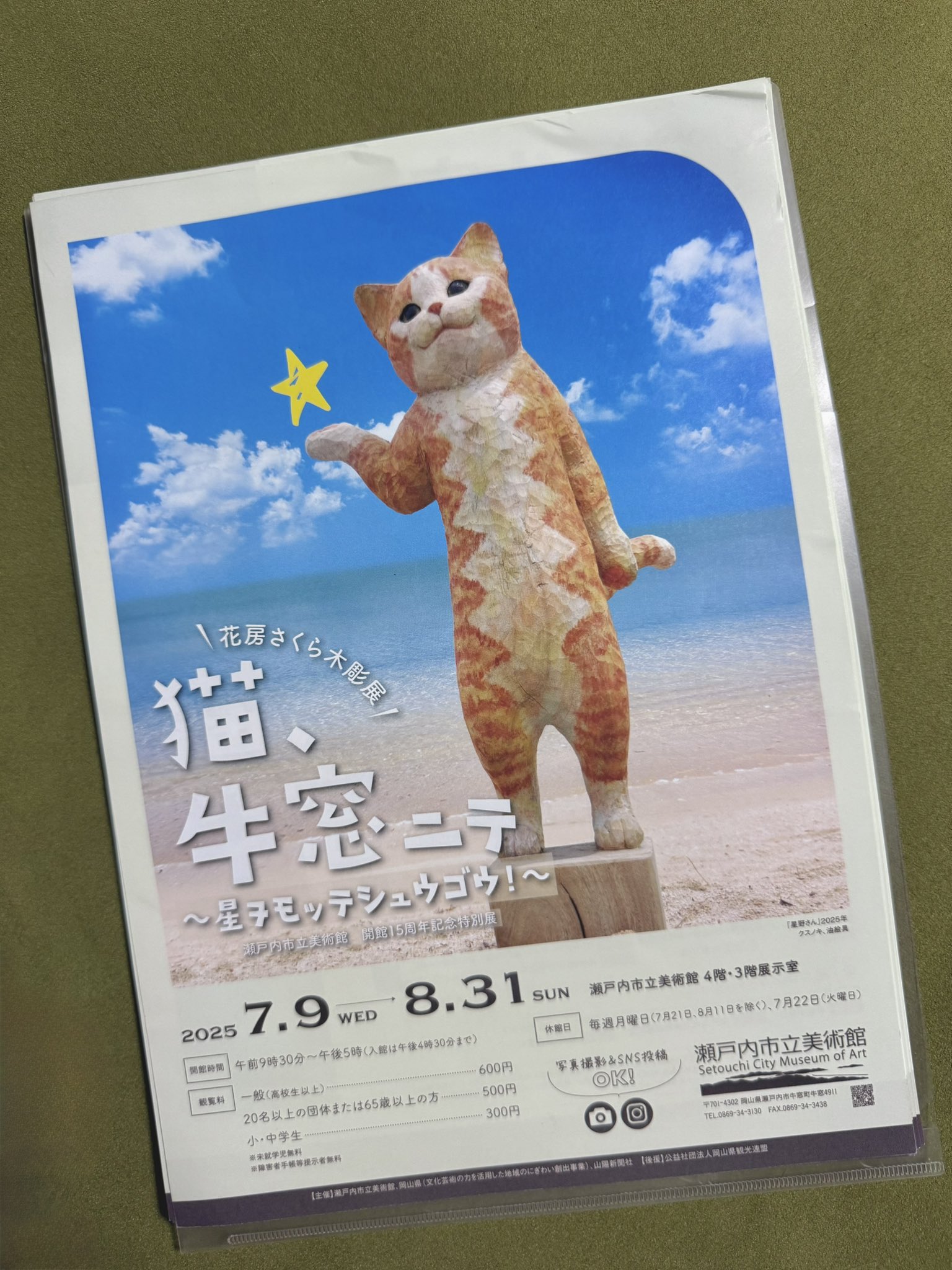 「 肉球ざくら 」猫イラスト 桜　春　満開　B5サイズ 色鉛筆画 肉球ざくら 」猫イラスト 桜 春 満開 B5サイズ 色鉛筆画