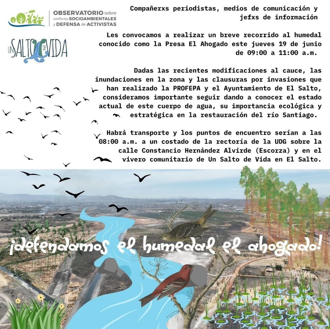Observatorio sobre Conflictos Socioambientales (@conflictos_obs) on Twitter photo #INVITACIÓN 🕵️🎙️🎥
Para periodistas: este jueves 19 realizaremos un recorrido con <a href="/unsaltodevidaac/">Un Salto De Vida</a> para difundir la problemática de invasiones y relleno ilegal del humedal Presa El Ahogado, fundamental para la recuperación del río Santiago.
Habrá transporte con <a href="/Prensa_UdeG/">Prensa UdeG</a>. #INVITACIÓN 🕵️🎙️🎥
Para periodistas: este jueves 19 realizaremos un recorrido con <a href="/unsaltodevidaac/">Un Salto De Vida</a> para difundir la problemática de invasiones y relleno ilegal del humedal Presa El Ahogado, fundamental para la recuperación del río Santiago.
Habrá transporte con <a href="/Prensa_UdeG/">Prensa UdeG</a>.