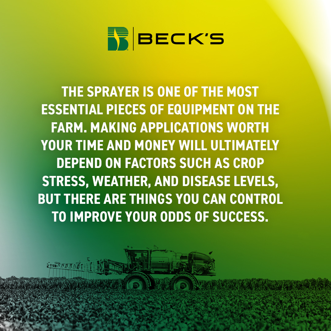 Beck's Hybrids tweet media