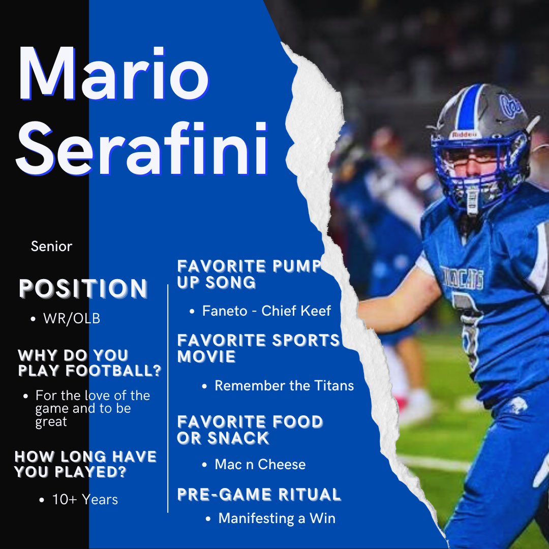 Wildcat Showcase: Mario Serafini