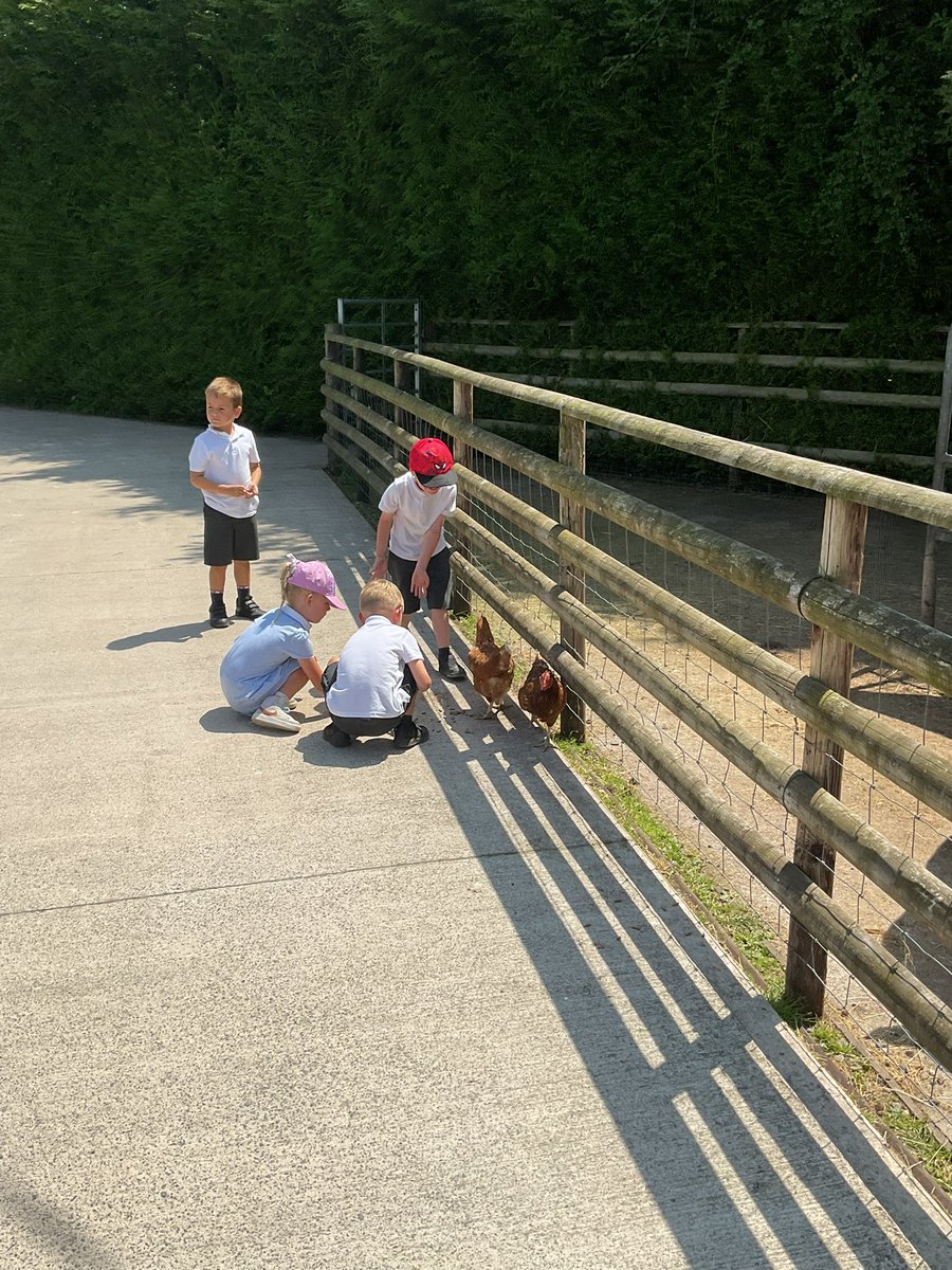 We had the most wonderful day at Cefn Mably Farm Park. #GPSClass4 #GPSClass3
