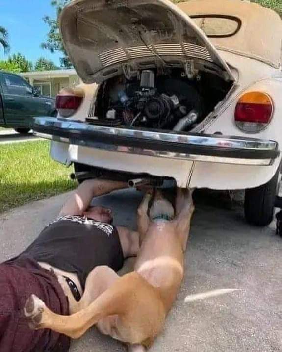 ERIC EDUARDO ESPINO (@ericrpc) on Twitter photo “NO COMA CUENTO” no crea que porque el PERRO está echao debajo del carro, es que es Mecanico jeeeee AyyymiiDiosss ayyymiiplataa AYYYYmiss chimbiliquisss ayymibenditooo CHUMBULUMMMMM…clase de cutarrazooo mas grosero, liso y atrevido AQUÍ NO SE IMPROVISA <a href="/Elultimoepisod1/">El ultimo episodio</a> “NO COMA CUENTO” no crea que porque el PERRO está echao debajo del carro, es que es Mecanico jeeeee AyyymiiDiosss ayyymiiplataa AYYYYmiss chimbiliquisss ayymibenditooo CHUMBULUMMMMM…clase de cutarrazooo mas grosero, liso y atrevido AQUÍ NO SE IMPROVISA <a href="/Elultimoepisod1/">El ultimo episodio</a>