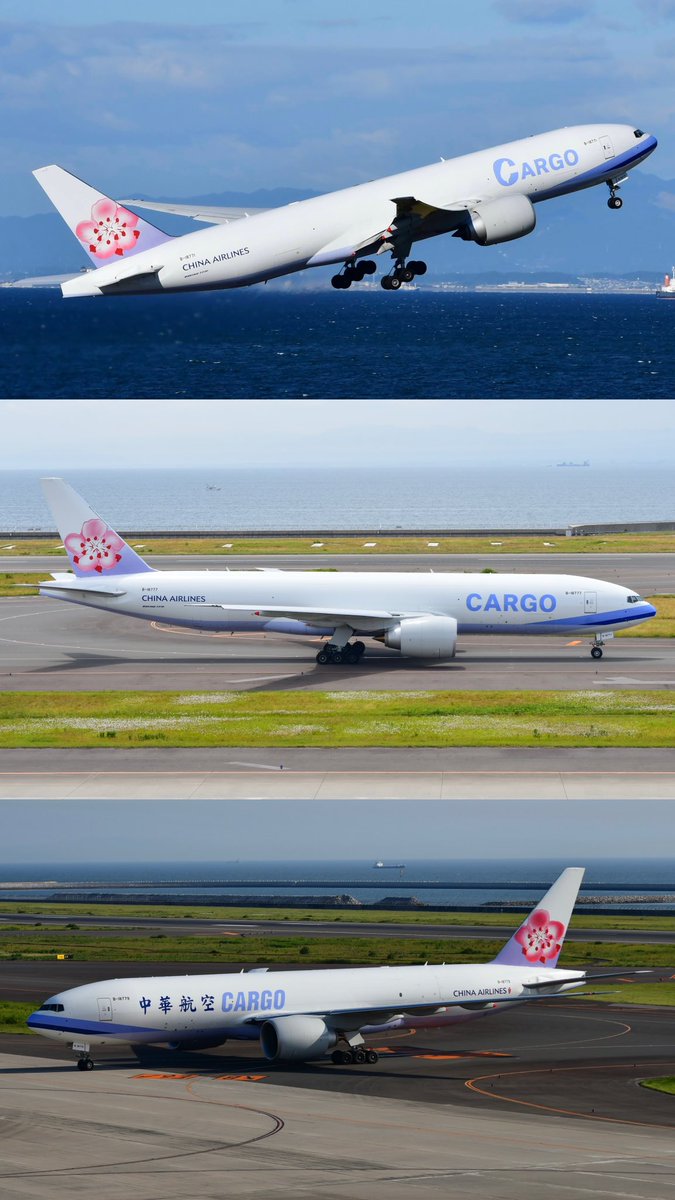 ダイナスカーゴ全3種の塗装コンプリート！