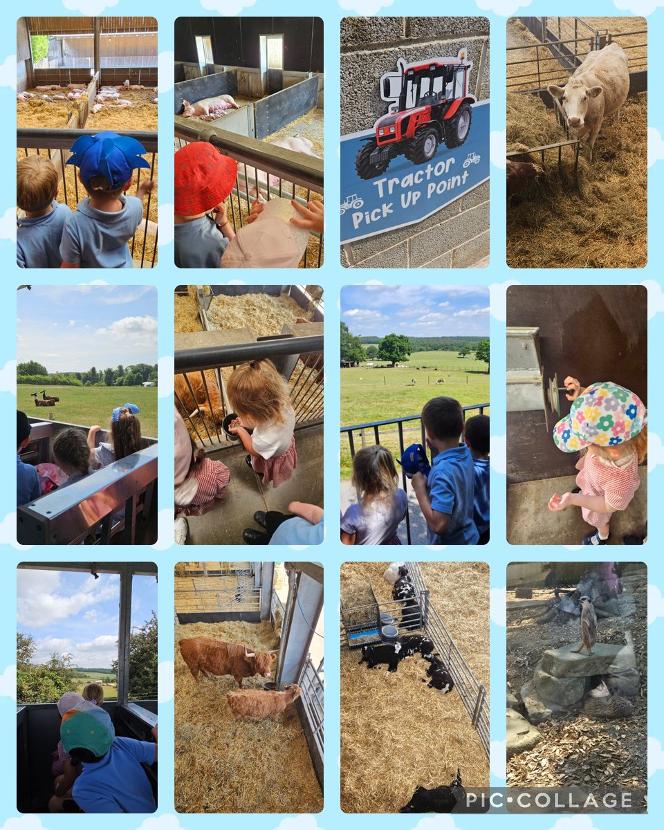 A perfect day for a farm visit! 🌞 In reception, we have been on a visit to Cannon Hall Farm. The children have enjoyed a tractor ride, looking at all the animals and a delicious ice-cream 🍦