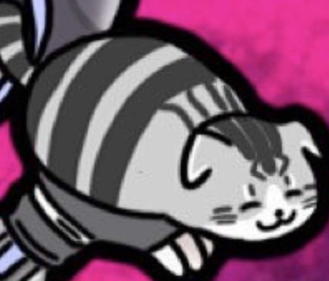 これ僕んちの猫(＾ω＾)