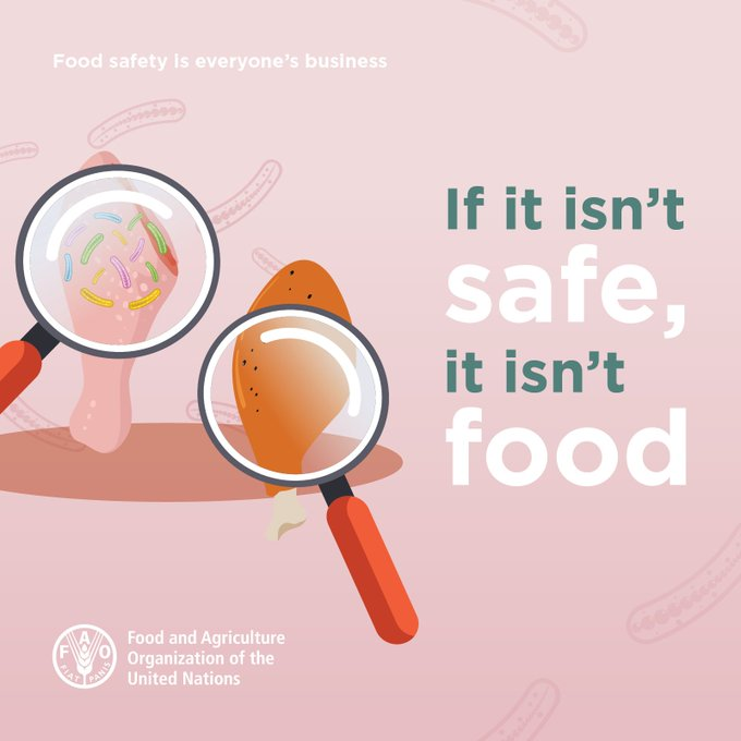 FAOWHOCodex's tweet photo. 📝 | Keeping food safe is absolutely vital to eradicating hunger in the world.

👉 There is no food security without #FoodSafety ❗️

🍎🍊🍖🥕🥗🍳✅😊 https://t.co/9dIRdE1PU8