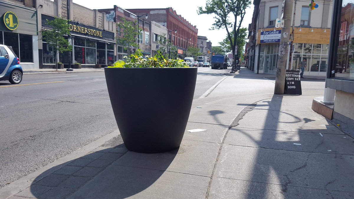 Flashback 7 years to when the Junction had large flower pots scattered throughout the neighbourhood.