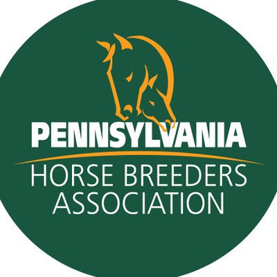 PennHorseRacing's tweet photo. PA Horse Breeders Association to Host First-Ever Yearling Show!🐎⭐️ @PA_PHBA 

https://t.co/bKi0Qub2AN https://t.co/RsmGD0uEYC