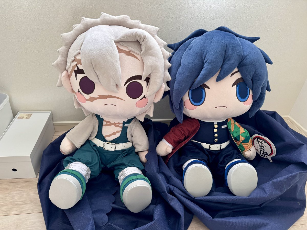 最近わたをお迎えしたみんな！
つがいで持ってる方も多かろう！
個体差で形が微妙？諦めないで、まずは天日干ししよう！半日くらい！
そして中の綿の位置を調整するようにモミモミして！
綿オーナーの先達から教わったぬいのエステです！
←before/after→