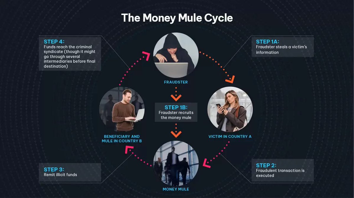 Naveen 🇮🇳 Kumar 🕉 tweet media