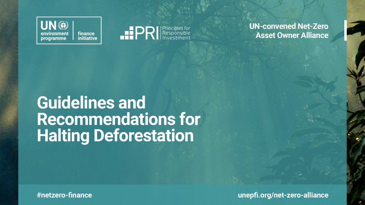 UNEP Finance Initiative (UNEP FI) (@unep_fi) on Twitter photo As the 2nd largest source of emissions and a diminisher of carbon sinks, #deforestation poses systemic risk to #assetowners. Providing a pathway for investors and stakeholders alike, #NZAOA releases Guidelines and Recommendations for Halting Deforestation: ow.ly/eeb850WaIg0 As the 2nd largest source of emissions and a diminisher of carbon sinks, #deforestation poses systemic risk to #assetowners. Providing a pathway for investors and stakeholders alike, #NZAOA releases Guidelines and Recommendations for Halting Deforestation: ow.ly/eeb850WaIg0