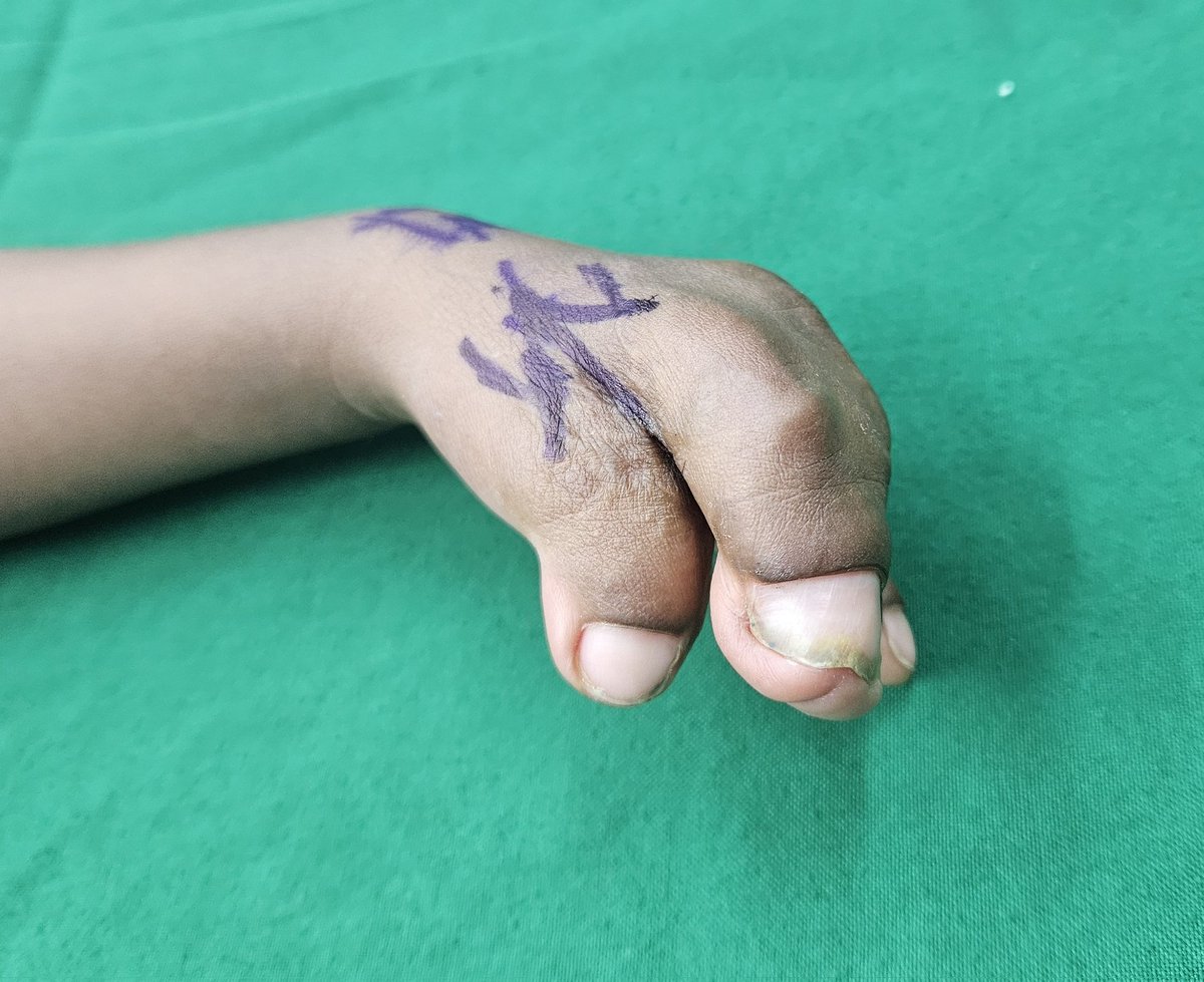 Dra. Karina Rando tweet media