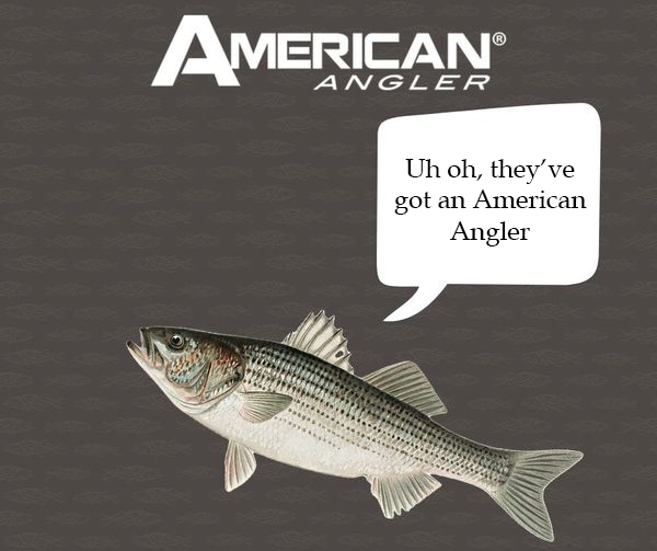 AA_Fishing's tweet photo. Even the fish know American Angler is the best there is. #TheBestEFK #AmericanAngler https://t.co/xawsVFHXEi