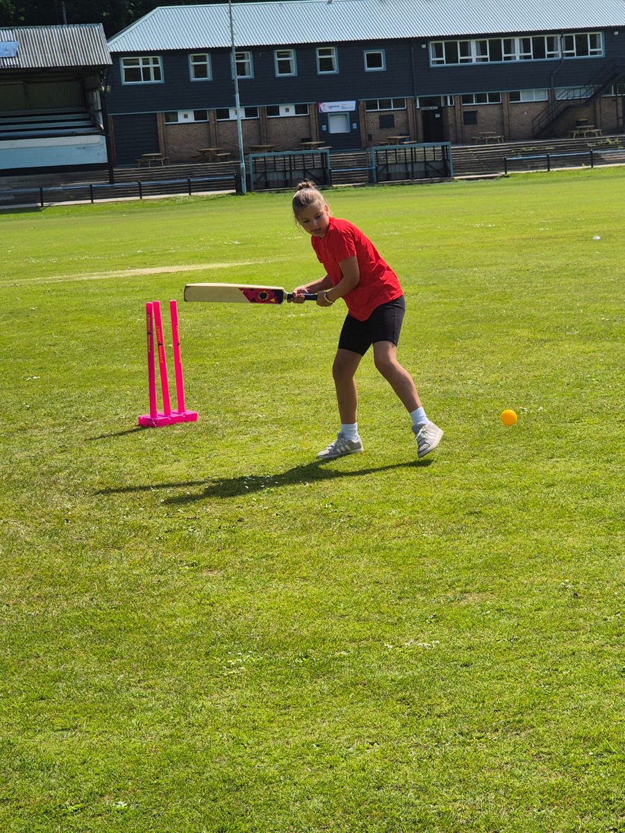 Nant Y Parc Primary tweet media