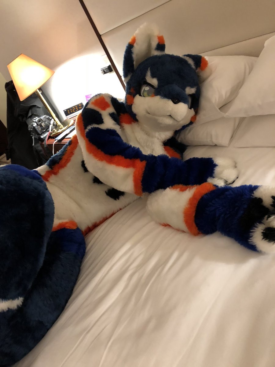 添い寝モフモフ(⁠づ⁠｡⁠◕⁠‿⁠‿⁠◕⁠｡⁠)⁠づ