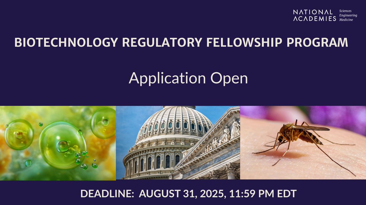 NASEM_BioRegFS's tweet image. Advance your science career by engaging in biotechnology policymaking.
The Biotechnology Regulatory Fellowship offers hands-on experience with real-world policymaking in Washington, DC - ow.ly/Z0Cm50W3JSi
#BiotechnologyFellowship #NASEM #Regulatoryprogram #PolicyCareers