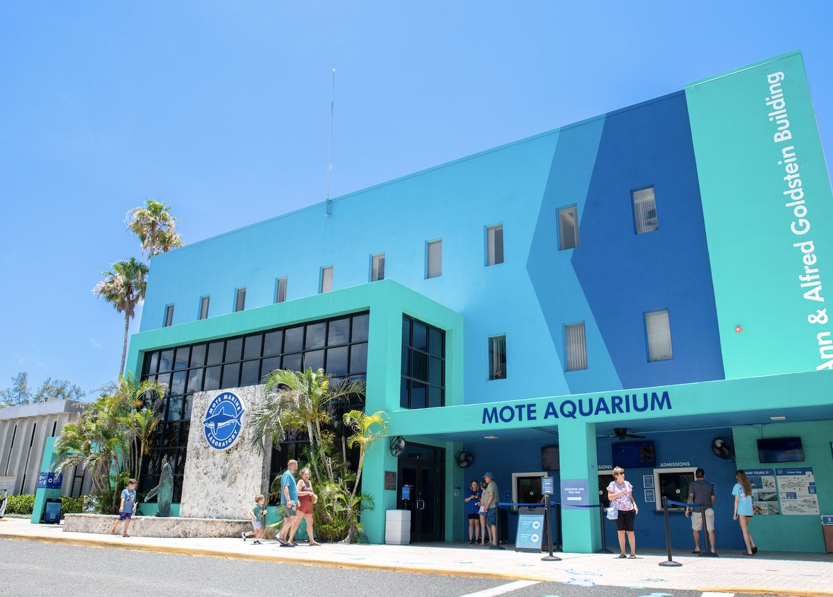 ✨📢Mote Begins Transition to Mote Science Education Aquarium

Read more about the transition at: 

mote.org/news/mote-aqua…