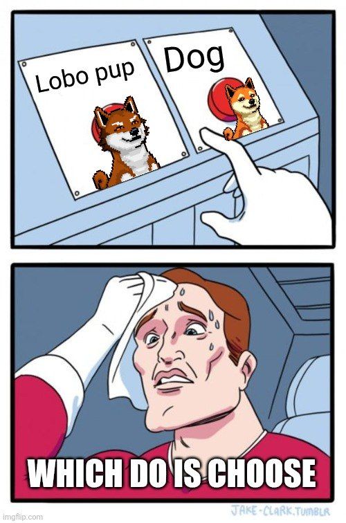 🐺 I'm minting my underdog ordinal, I can't make up my mind. 🐶

<a href="/UnderdogsBTC/">BTC Underdogs</a> #BTCUnderdogs #Saitoshi #Ordinals #BTCAI