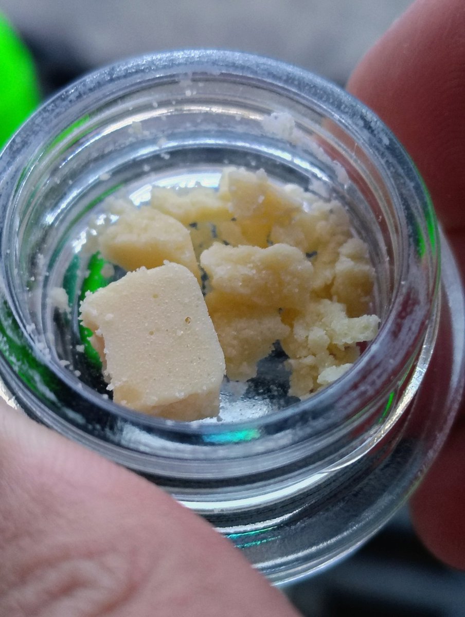 Super zebra stripes 🙀 🦓 #oregon #legalstate