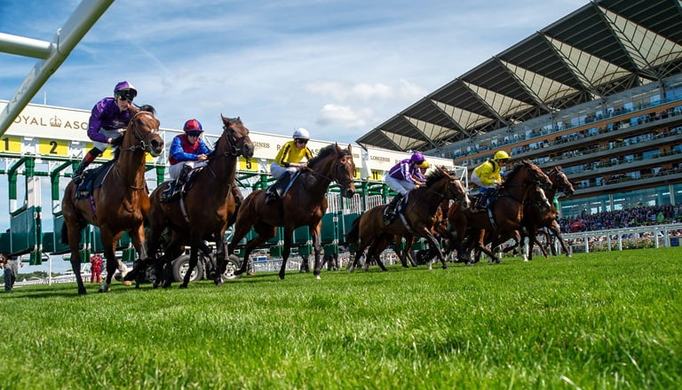 Play Safe TermsApply NAP of the Day: Illinois The Able Deputy On Day 3 At Royal Ascot: Our tipster discusses his NAP of the Day ahead of the action at Royal Ascot 2025 on Thursday but which Aidan O’Brien runner is his best bet of the… racingne.ws/wh40 BeGambleAware AD 18+